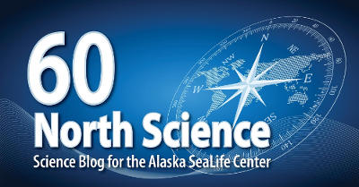 Logo of the 60 North Science blog with the blog name as white text on blue background with compass rose in background